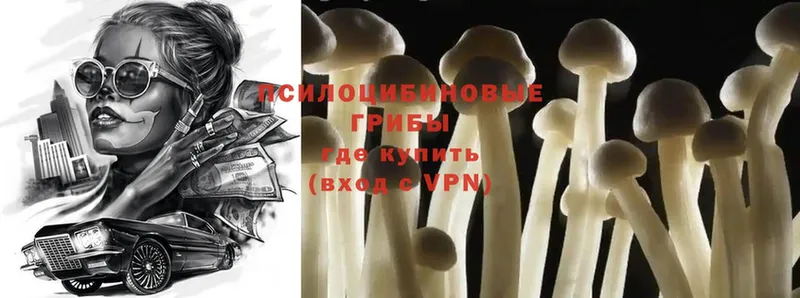 OMG онион  Нарткала  Псилоцибиновые грибы Magic Shrooms 